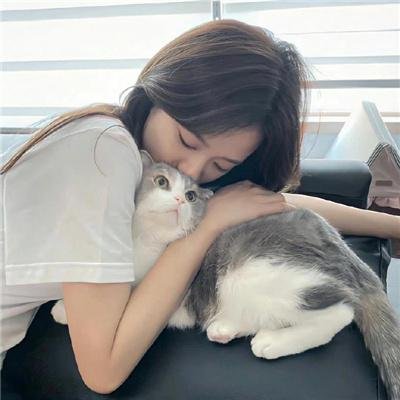 爱飞翔封面